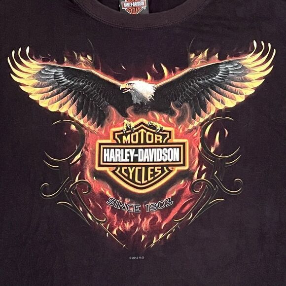 12’ Harley Davidson Phoenix / Gettysburg Front & Back Graphic Tee Shirt / Size L - Picture 3 of 5